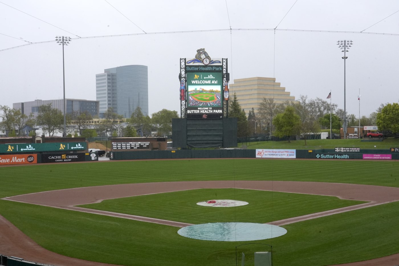 Sacramento: natural and non-synthetic grass for Athletics